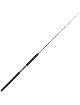 CANNE SALTIGA JIGGING 2024