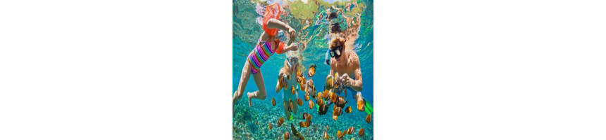 Snorkeling / Loisirs