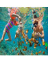 Snorkeling / Loisirs